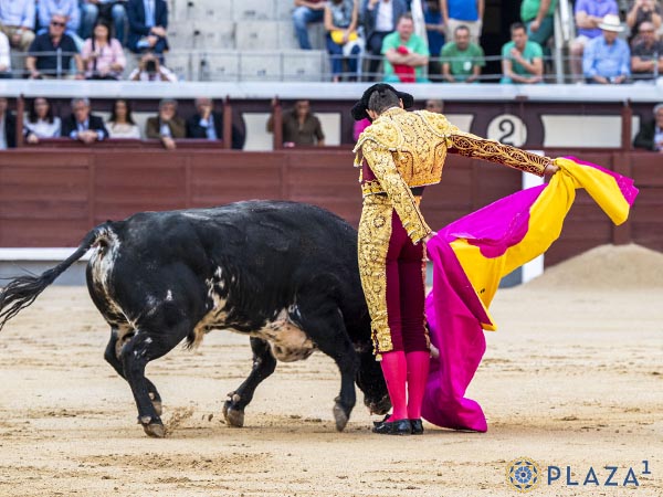 Por gaoneras en el quite