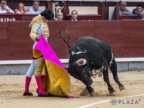 Ver�nicas en el saludo