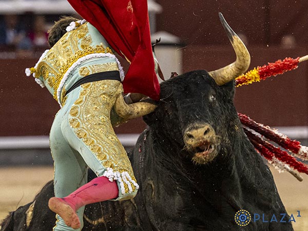 Prendido de la fajilla