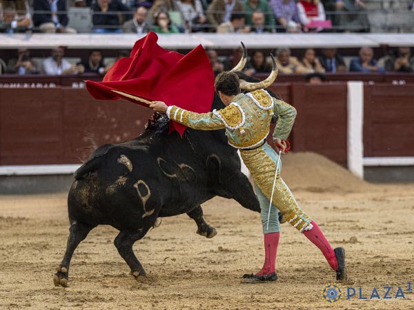 De pit�n a rabo