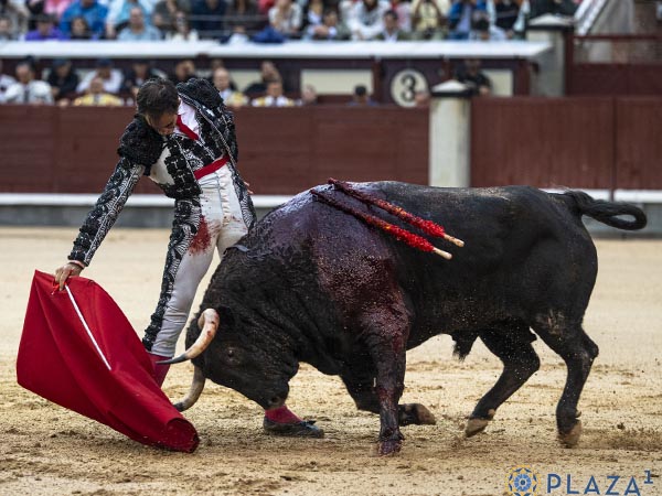 Mano baja