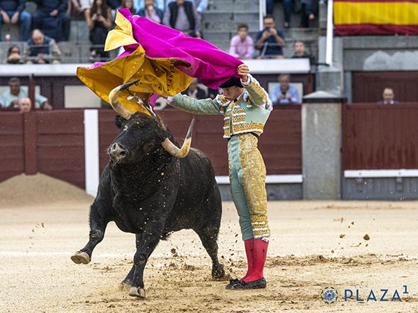 Repertorio en los quites