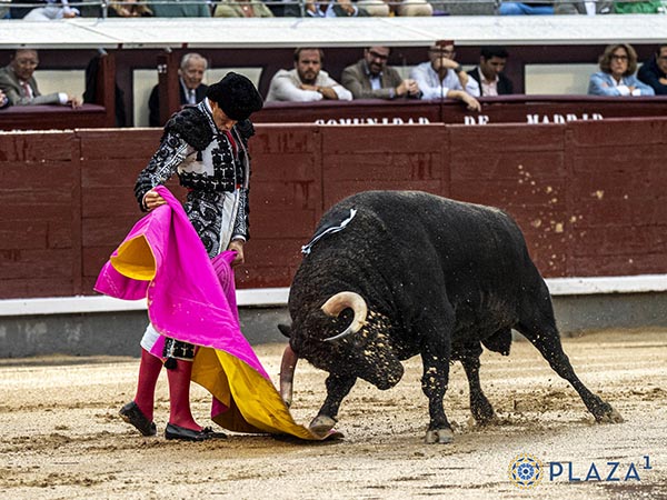 Codicia del negro