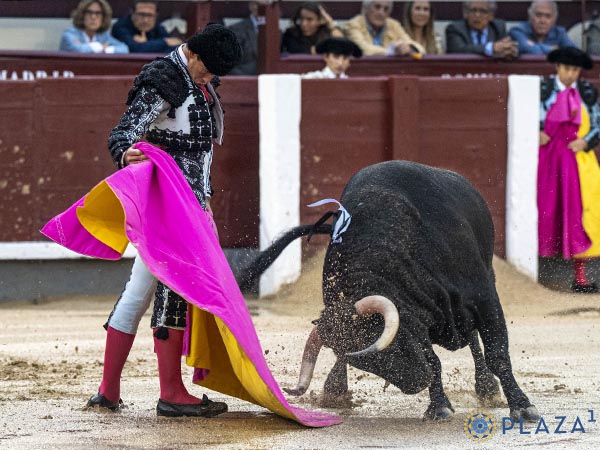 Saludo de Fortes