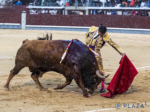 Naturales en el tercio