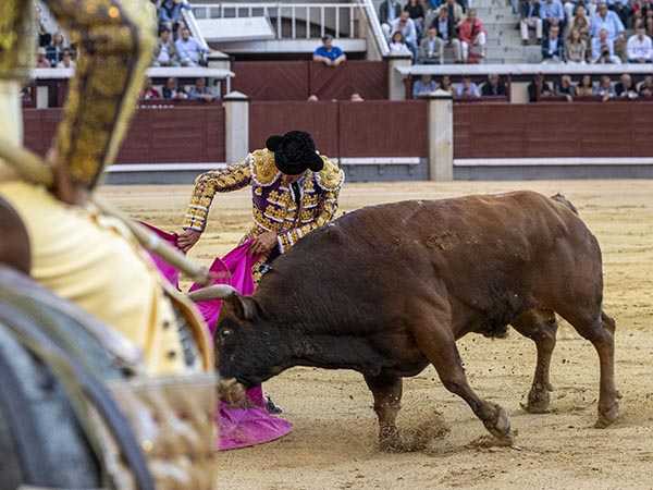 Frente al lancero