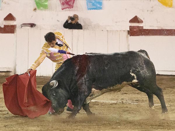 Fijeza del jir�n