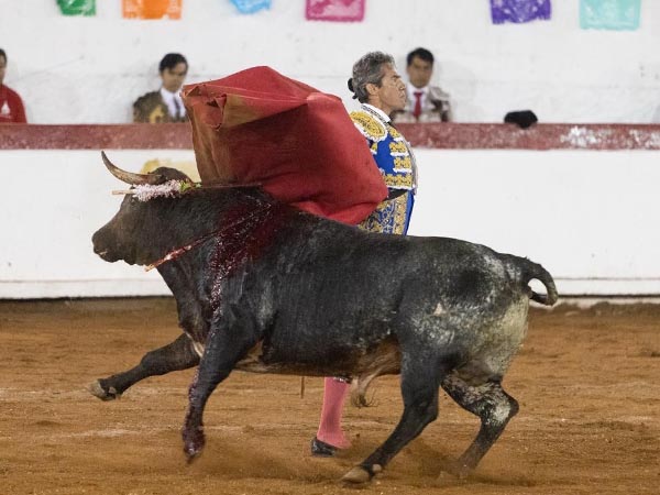 Final de faena