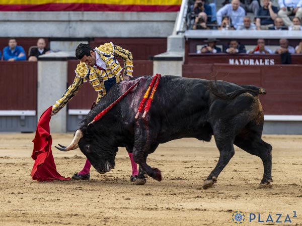 Mando de Emilio