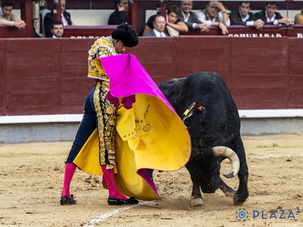 Jugando los brazos