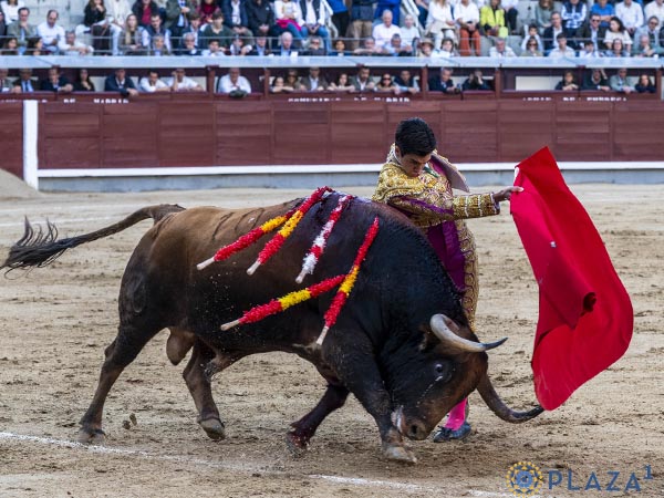 Faena de muleta
