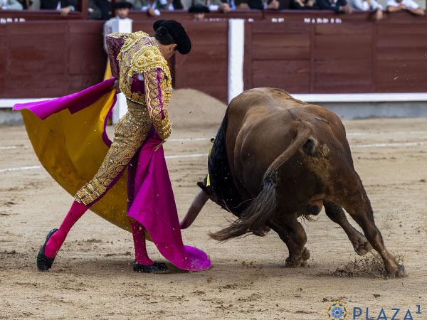 Ejemplar cedido por Emilio