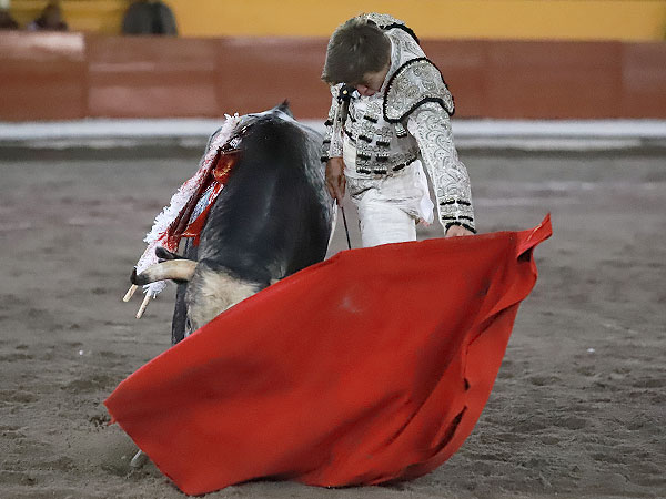 Acariciando la embestida