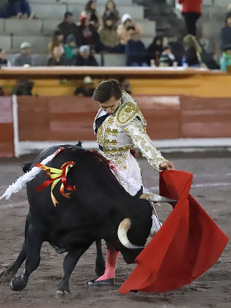 Enred�ndose con el Novillo