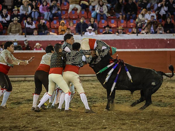 Espectaculares pegas de los forcados