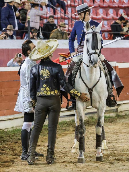 Admiraci�n y respeto del caballista