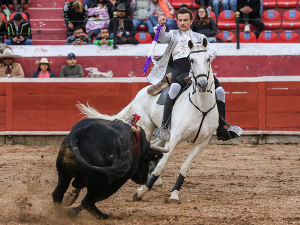 Jaca y caballista, como uno solo