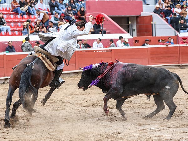 Adornando el morrillo