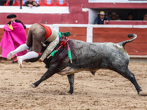 Maestr�a en la suerte