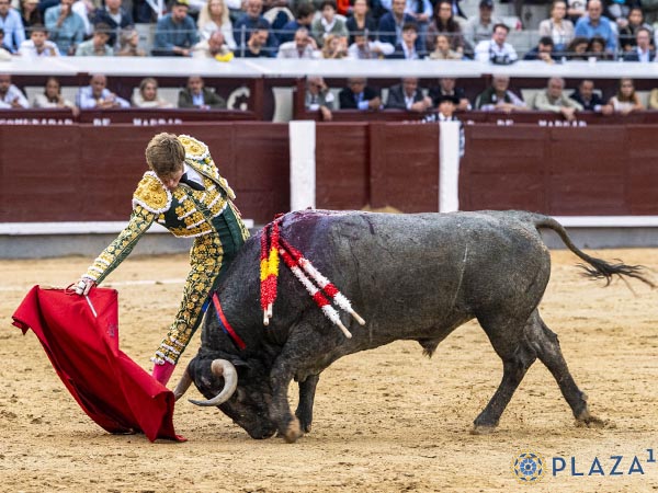 Acompasadas tandas al c�rdeno