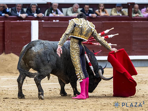 Solvencia