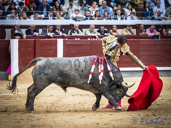 Por el lado natural
