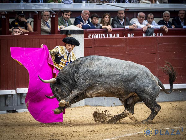 Manitas delante