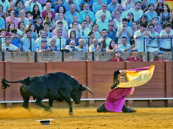 Saludo de hinojos