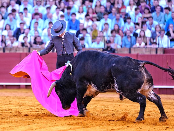 Lances de Pablo Aguado