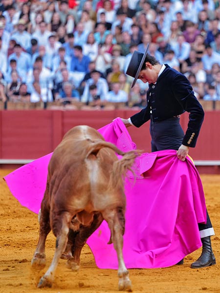 Ver�nicas de Roca Rey