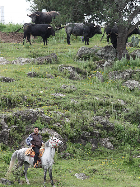 Escena con sabor antig�o