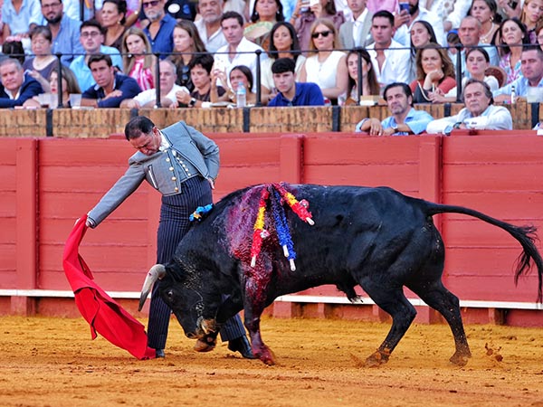 Sigue siendo El C�sar del Toreo
