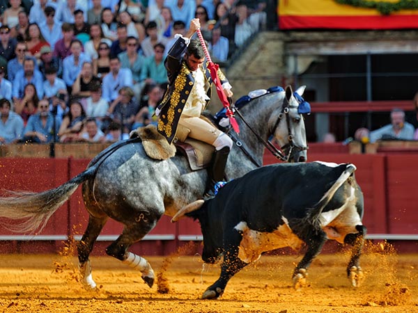 Rej�n de castigo