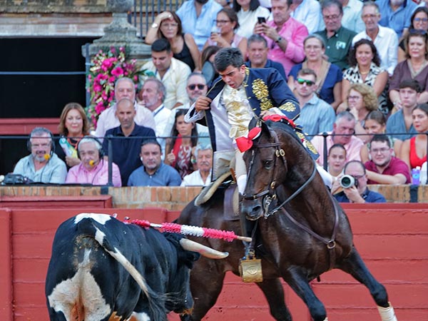 Toreando al berrendo