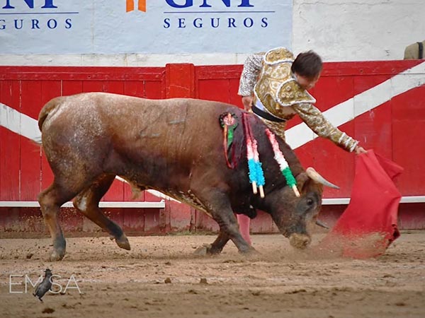Entregada actuaci�n del joven espada
