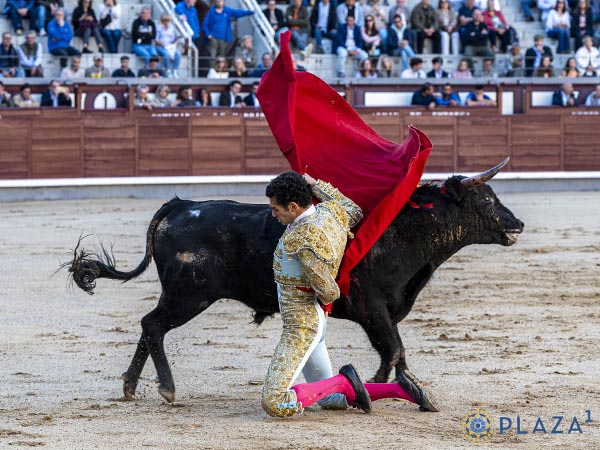 Manoletinas rodillas en tierra