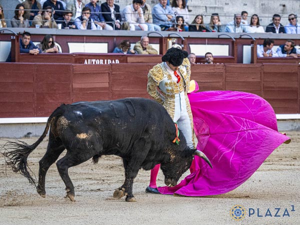Vuelos del percal