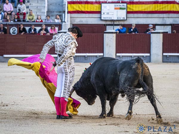 Codicia del c�rdeno