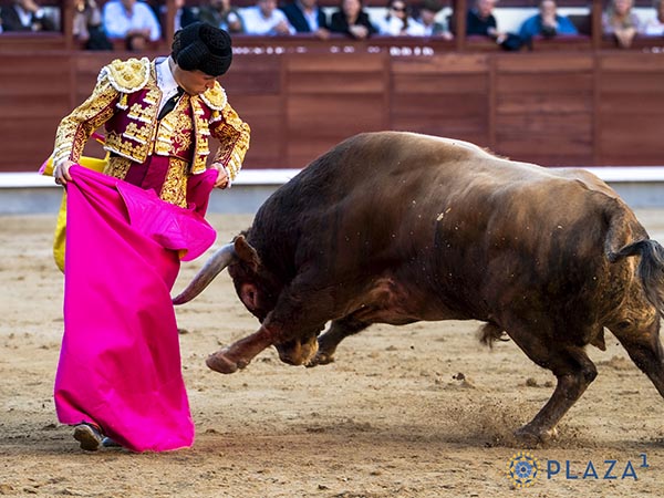 Chicuelinas al casta�o
