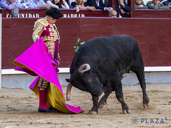 La barbilla en el pecho