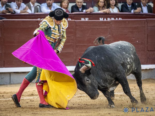 Rom�n ante el sexto de la tarde