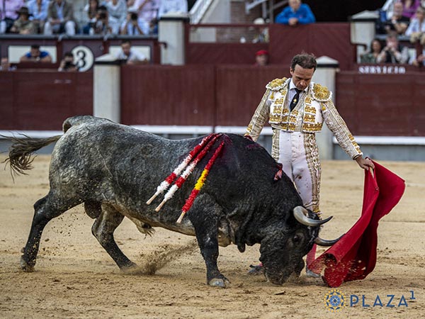 En maestro