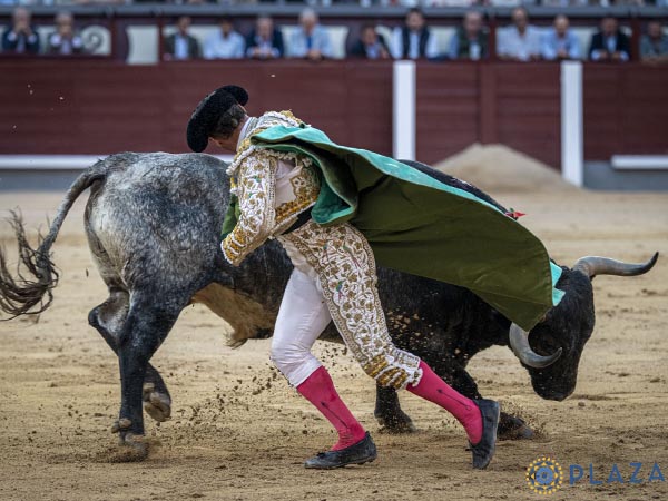 Estampa  a�eja
