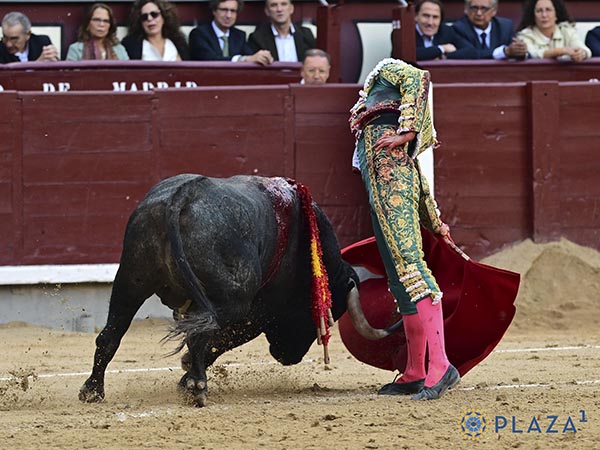 Dominio de las alturas