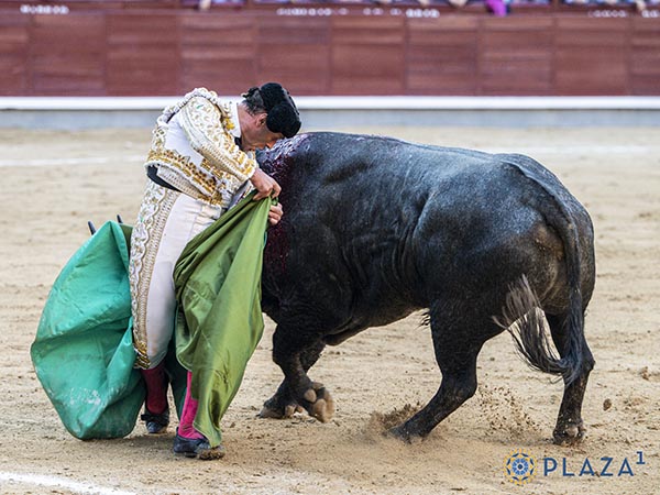 Terrenos ajenos