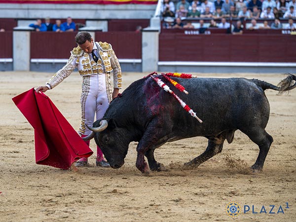 Reposo torero