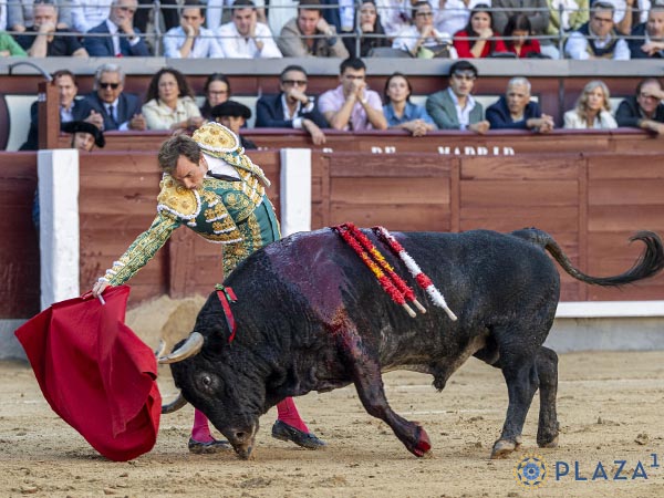 Largueza valenciana