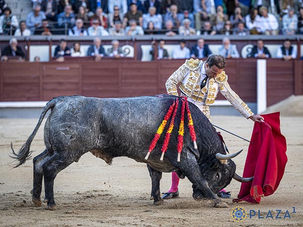 La izquierda de Ferrera