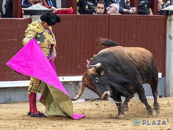 Momentos de buen toreo de Morante