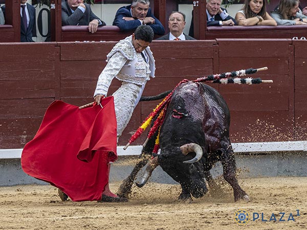 Quinto, un basto y desfondado ejemplar